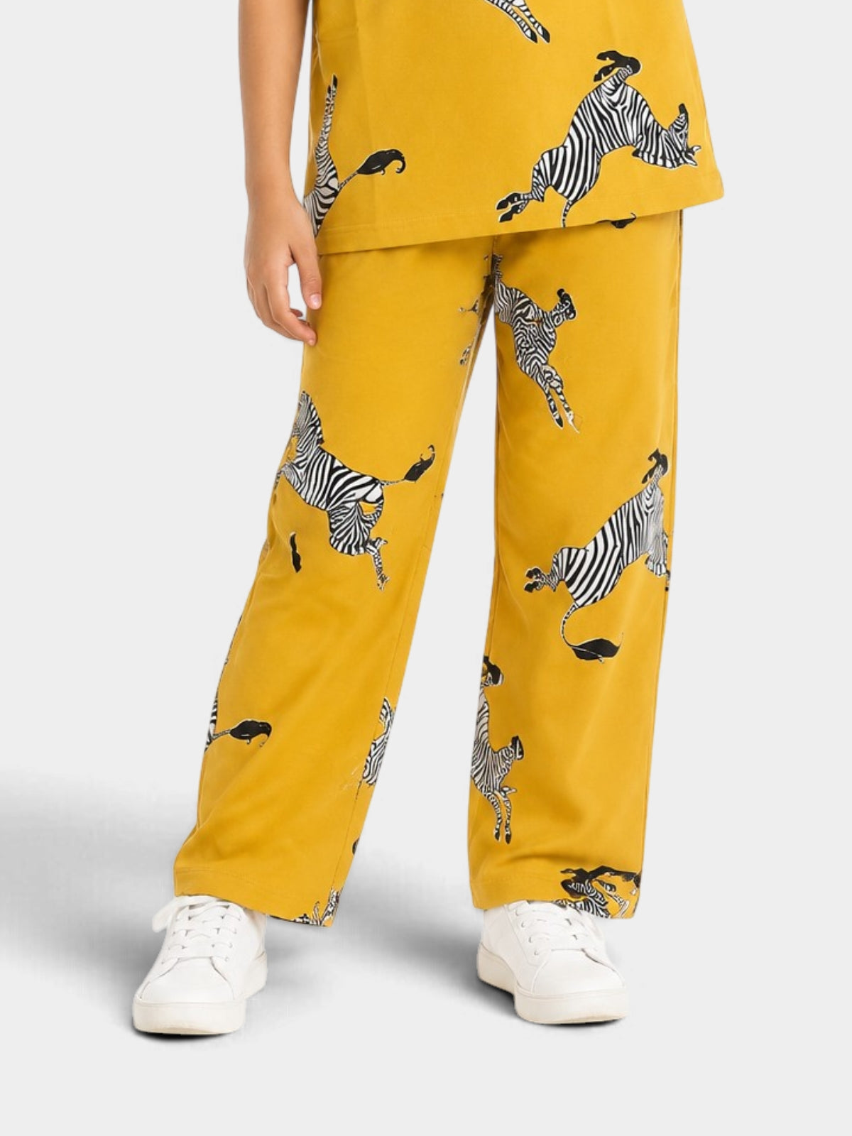 Zebra Dreams Night Suit